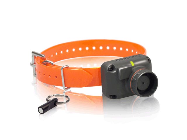 Dogtra StB-Hawk L - Beeper frecventa joasa